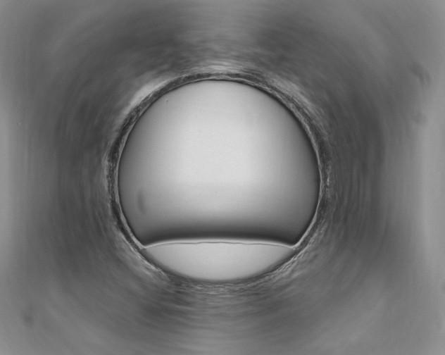X0000110691404200906121046