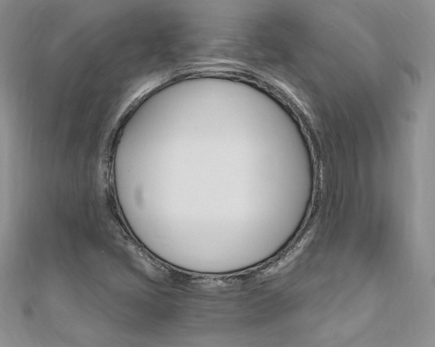 X0000110691405200906121046