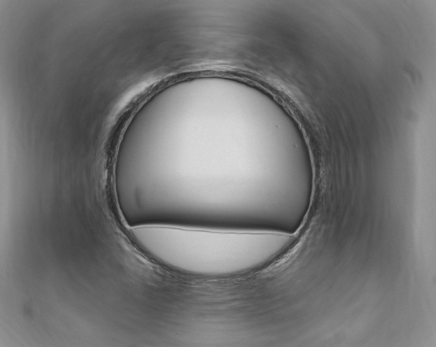 X0000110691406200906121046
