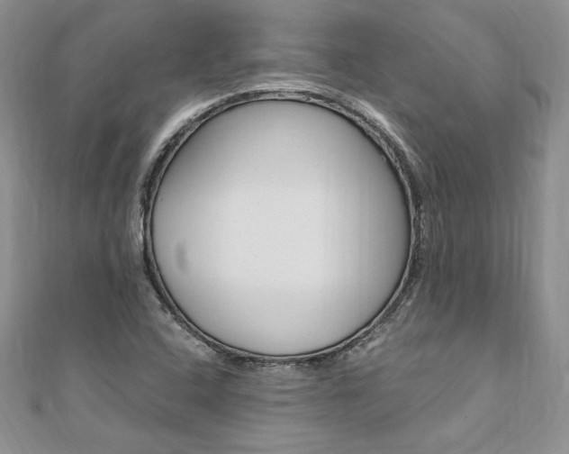 X0000110691408200906121046