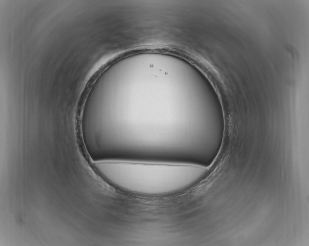 X0000110691412200906121046