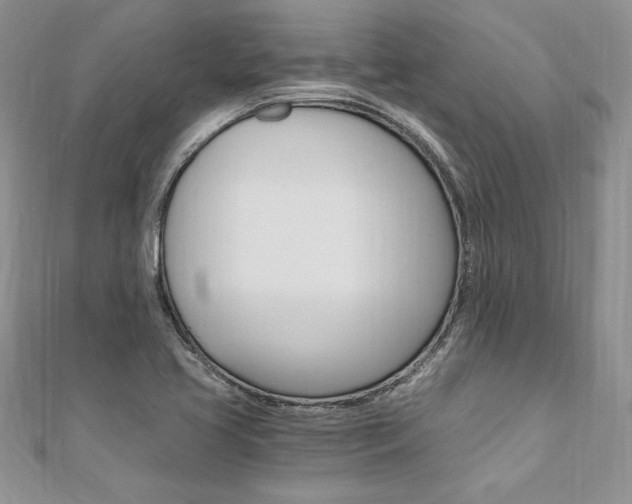 X0000110691413200906121046