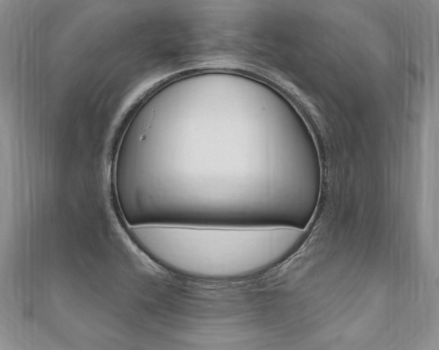 X0000110691416200906121046