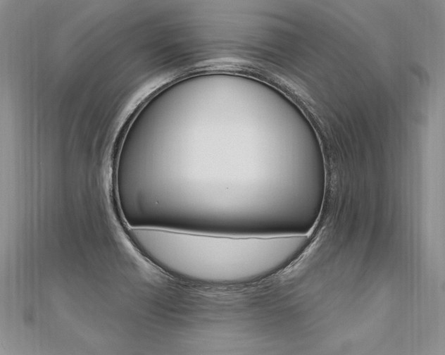 X0000110691418200906121046