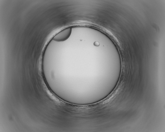 X0000110691421200906121046