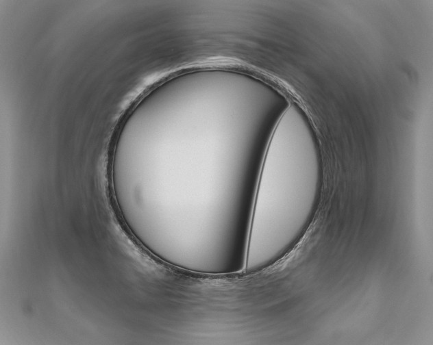 X0000110691422200906121046
