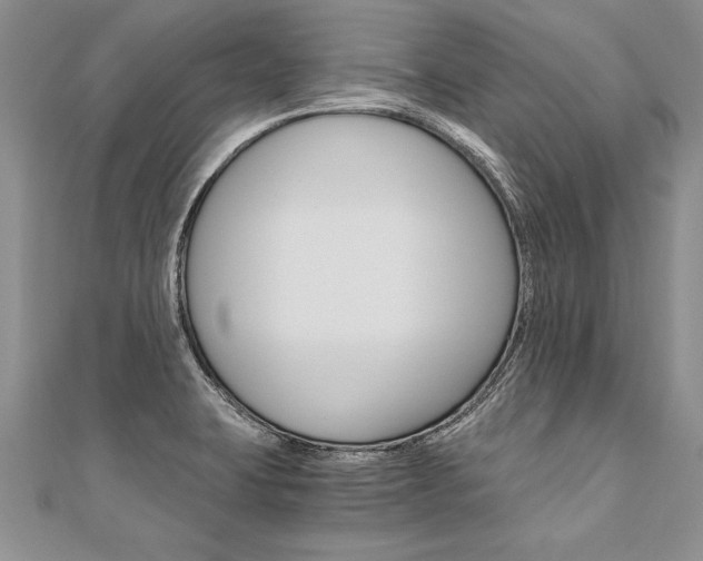 X0000110691423200906121046