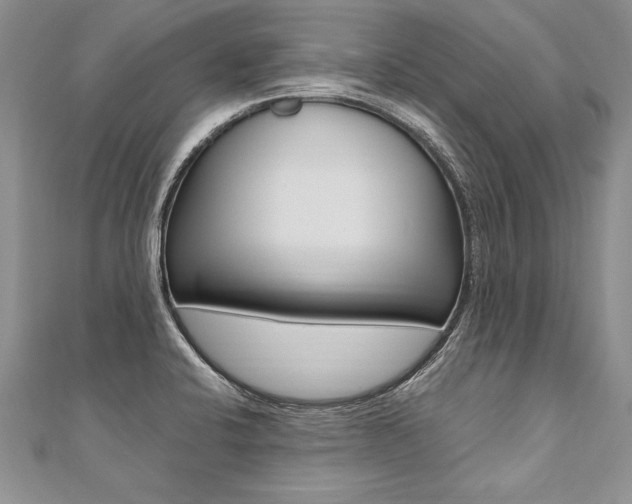 X0000110691424200906121046