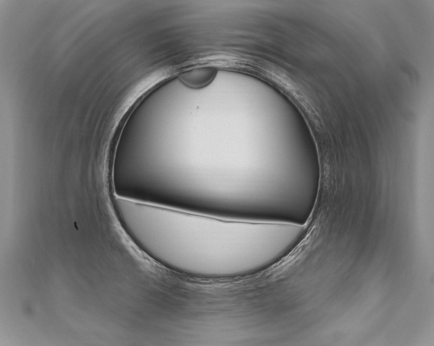 X0000110691426200906121046