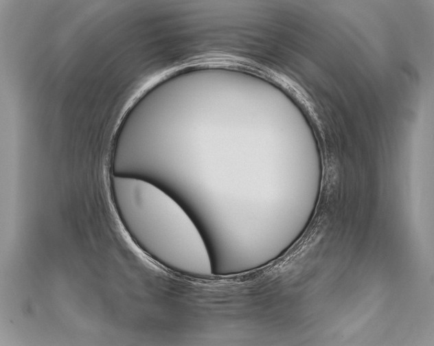 X0000110691429200906121046