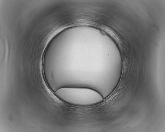 X0000110691431200906121046