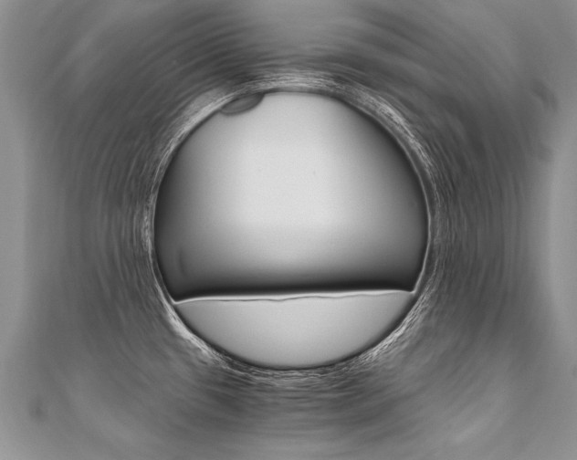 X0000110691433200906121046