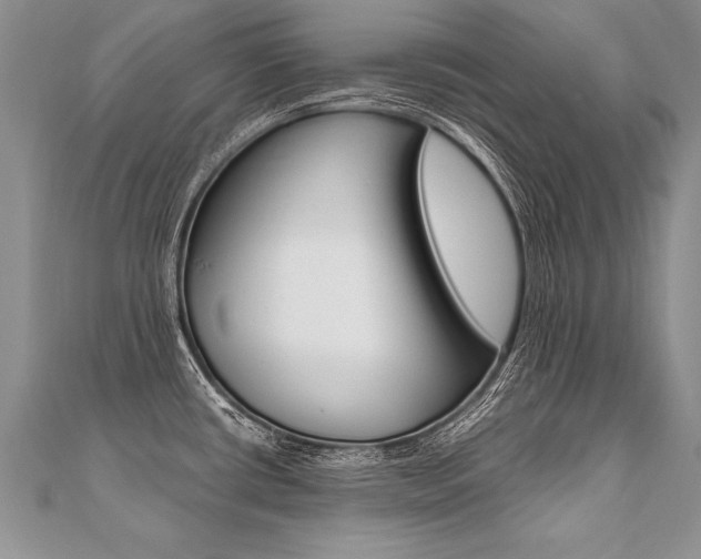 X0000110691434200906121046