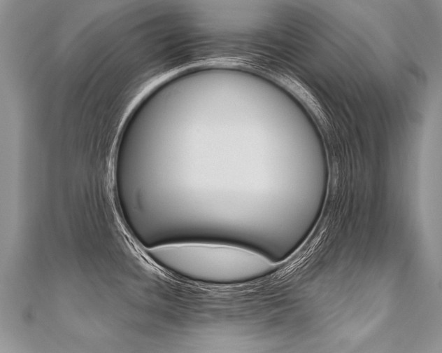 X0000110691436200906121046