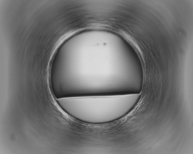 X0000110691437200906121046