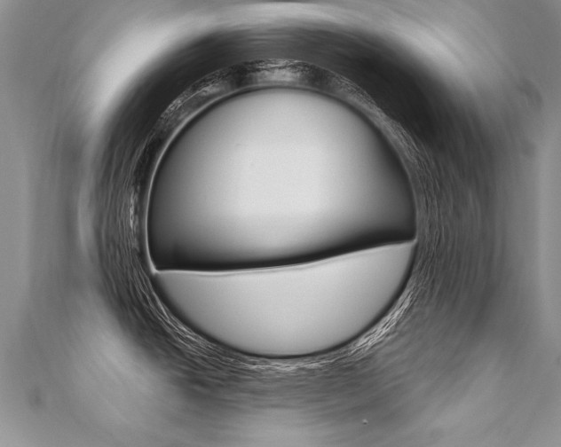 X0000110691438200906121046