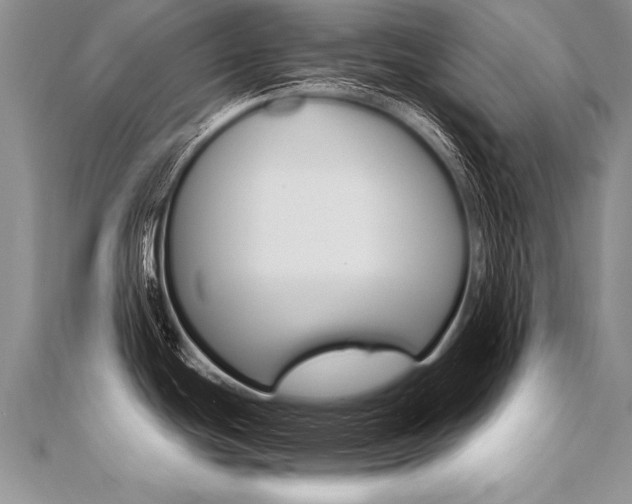 X0000110691439200906121046