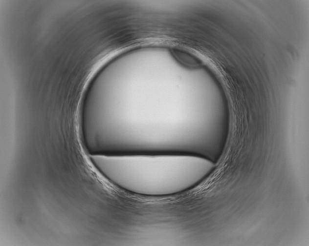 X0000110691440200906121046