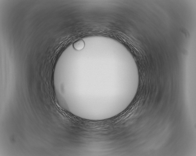 X0000110691441200906121046