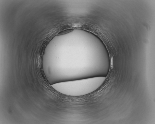 X0000110691443200906121046