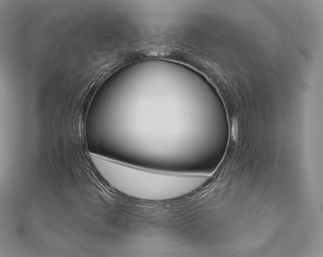X0000110691444200906121046