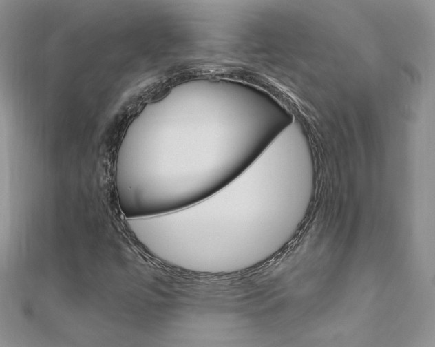 X0000110691447200906121046