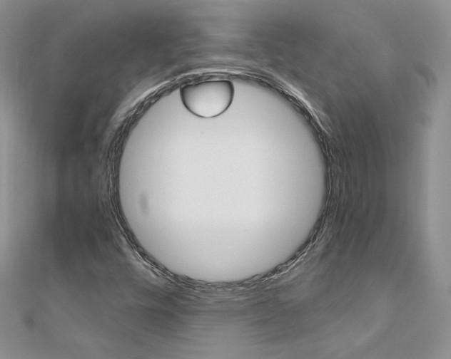 X0000110691448200906121046
