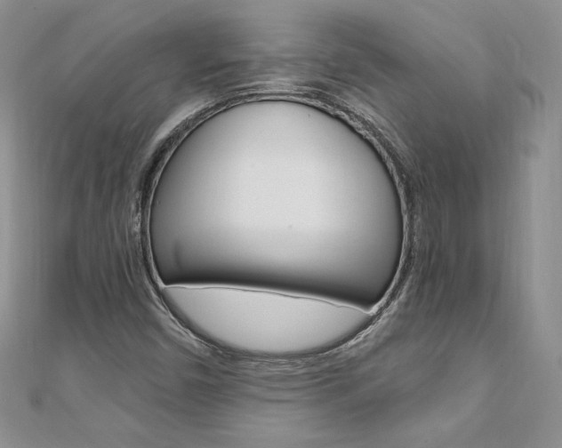 X0000110691450200906121046