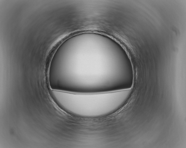 X0000110691452200906121045