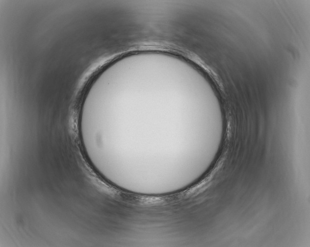 X0000110691454200906121045