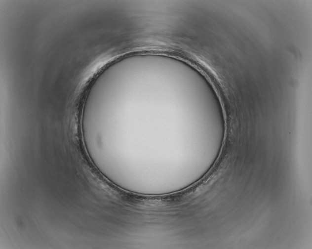 X0000110691455200906121045