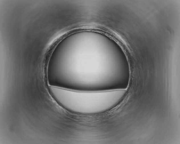 X0000110691456200906121045