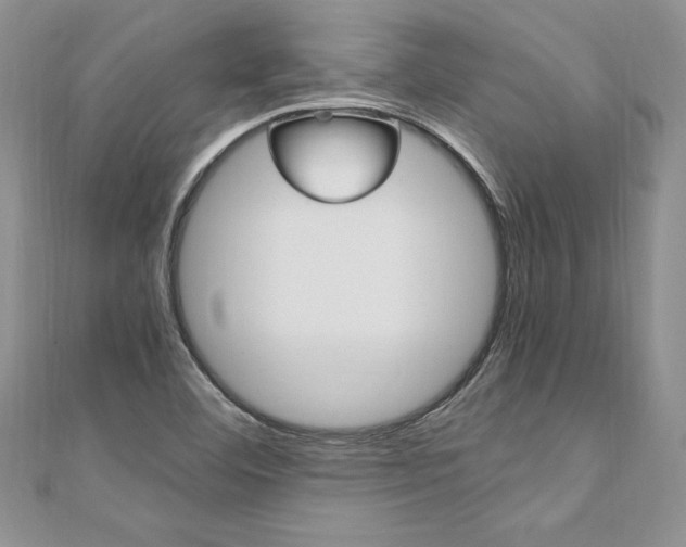 X0000110691460200906121045