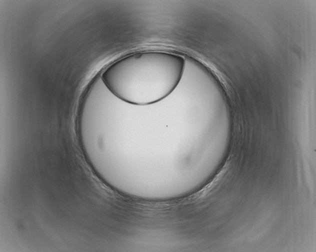 X0000110691461200906121045