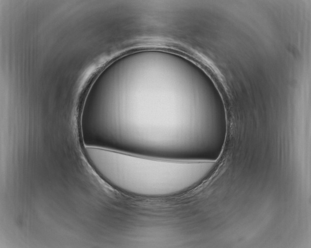 X0000110691464200906121045