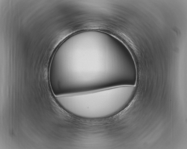 X0000110691465200906121045