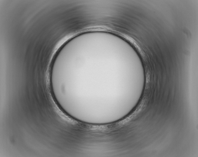 X0000110691466200906121045
