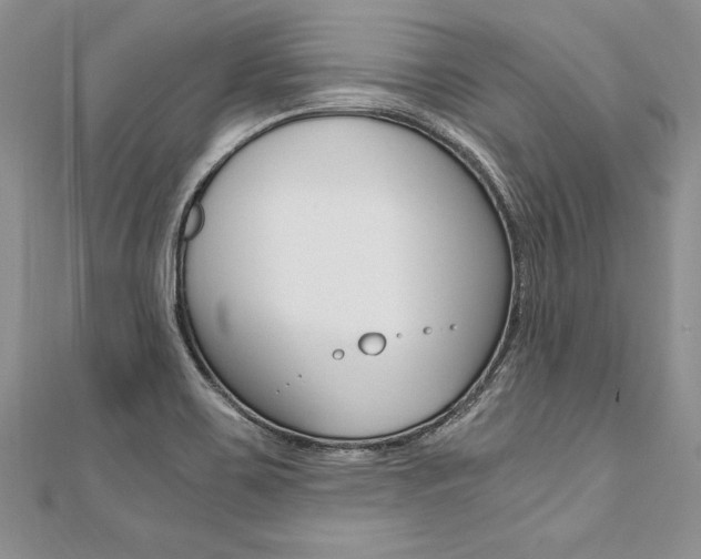 X0000110691467200906121045