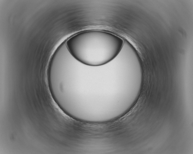 X0000110691468200906121045
