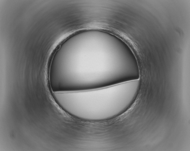 X0000110691469200906121045