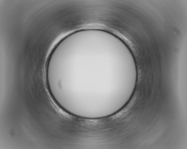 X0000110691470200906121045