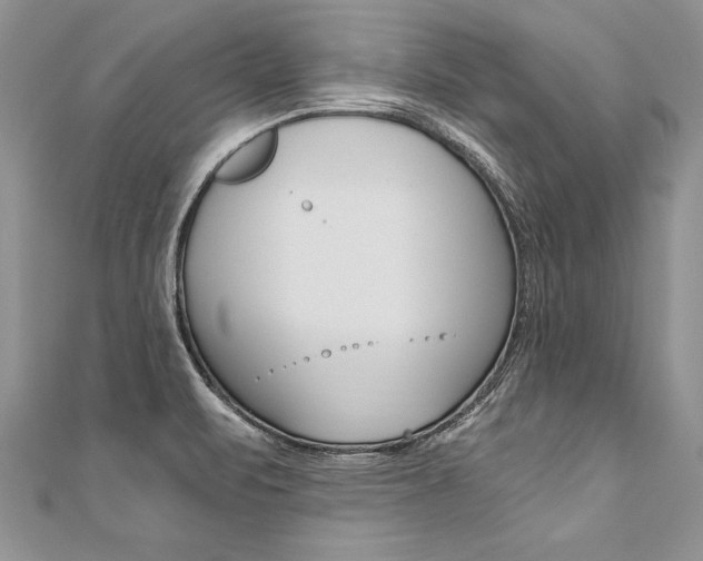 X0000110691471200906121045