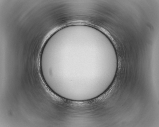 X0000110691474200906121045