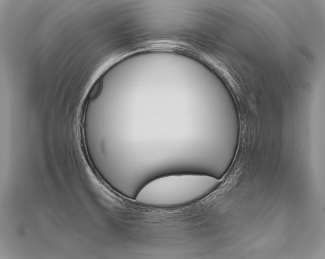 X0000110691475200906121045