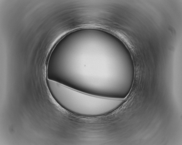 X0000110691476200906121045