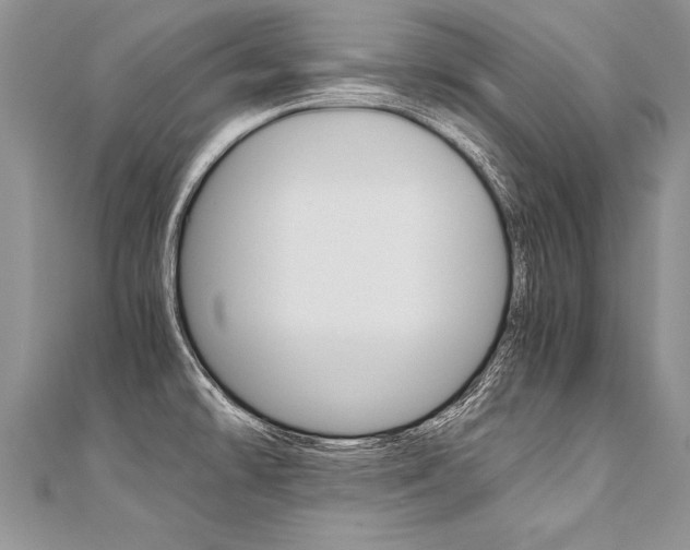 X0000110691478200906121045