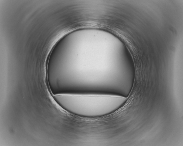 X0000110691479200906121045