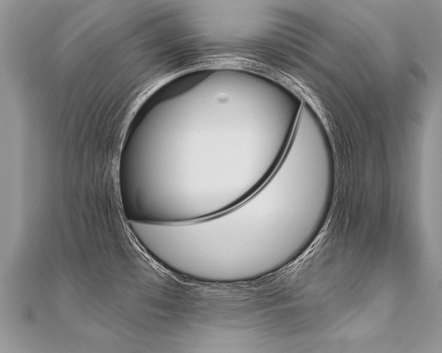 X0000110691481200906121045