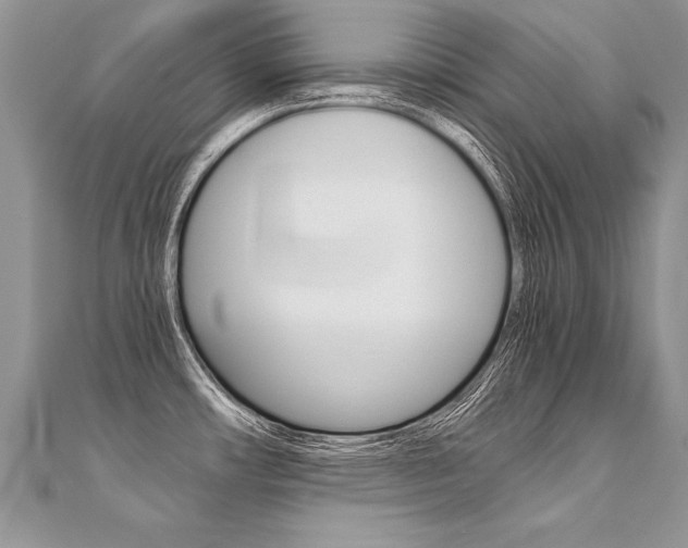 X0000110691482200906121045