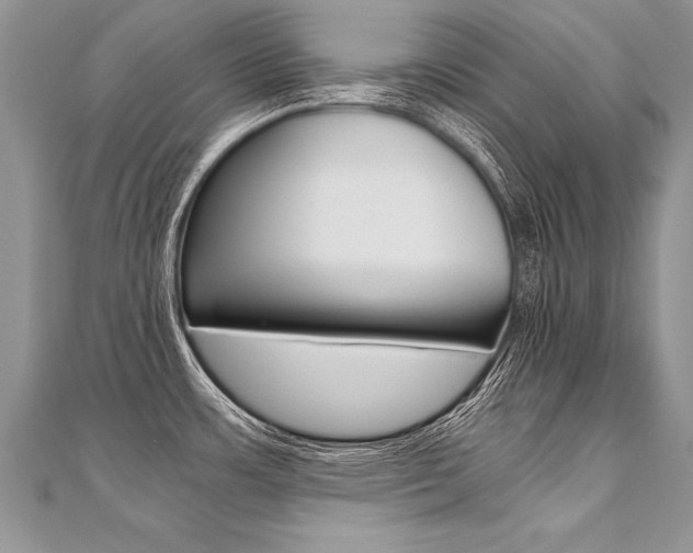X0000110691483200906121045